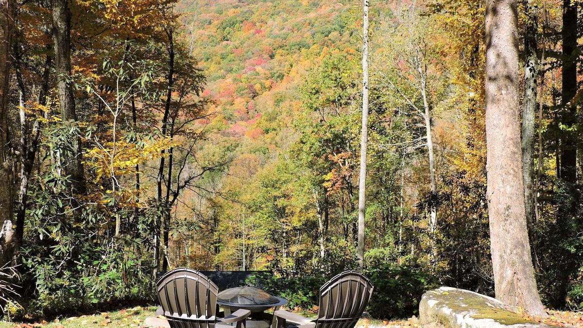 Robbinsville Cabin | Cozy cabin w/babbling creek, mountain view & fast Wi-fi