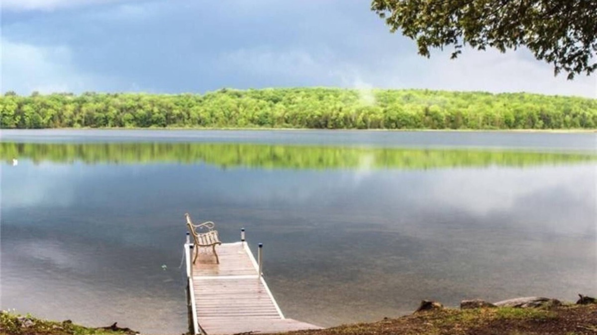 Palmyra Cottage | Cozy cabin with 200’ of waterfront on Whites Pond