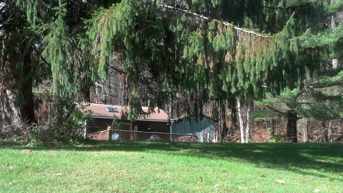 Shandaken Cabin | Cozy Cabin with Huge Deck!