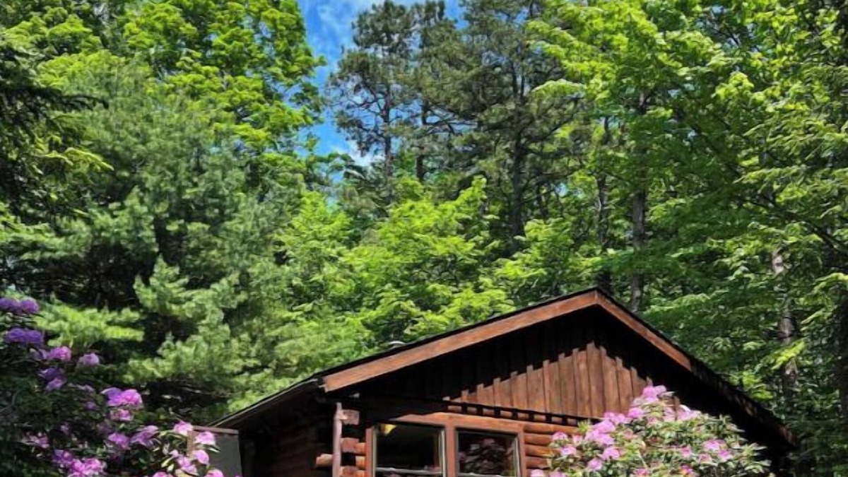 New Paltz Cabin | Cozy cabin with Mohonk Preserve access, wifi, AC, and adjacent studio building