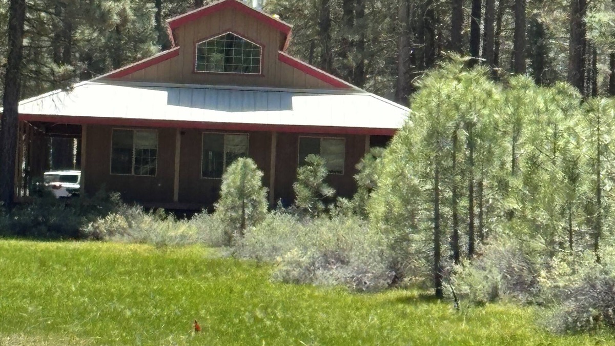 Portola Cabin | Cozy Cabin with wrap around porch. Walking distance to Chalet View Lodge.