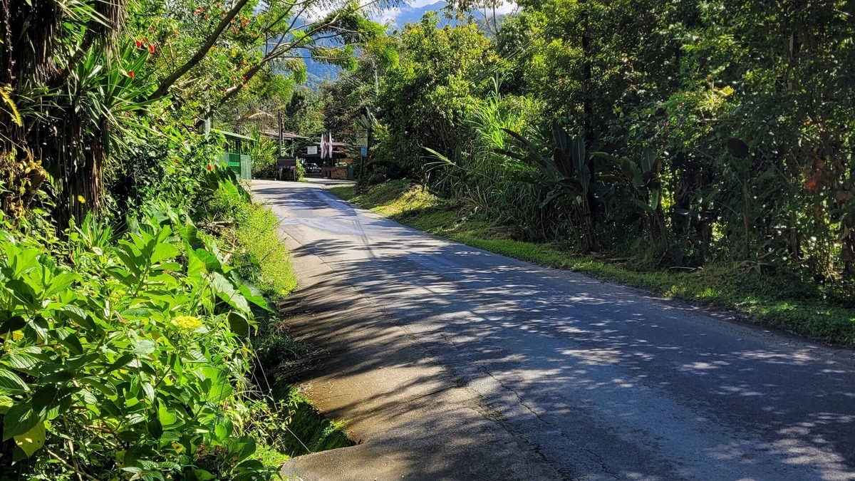 Rivas House | Cozy Casita close to nature with beautiful view
