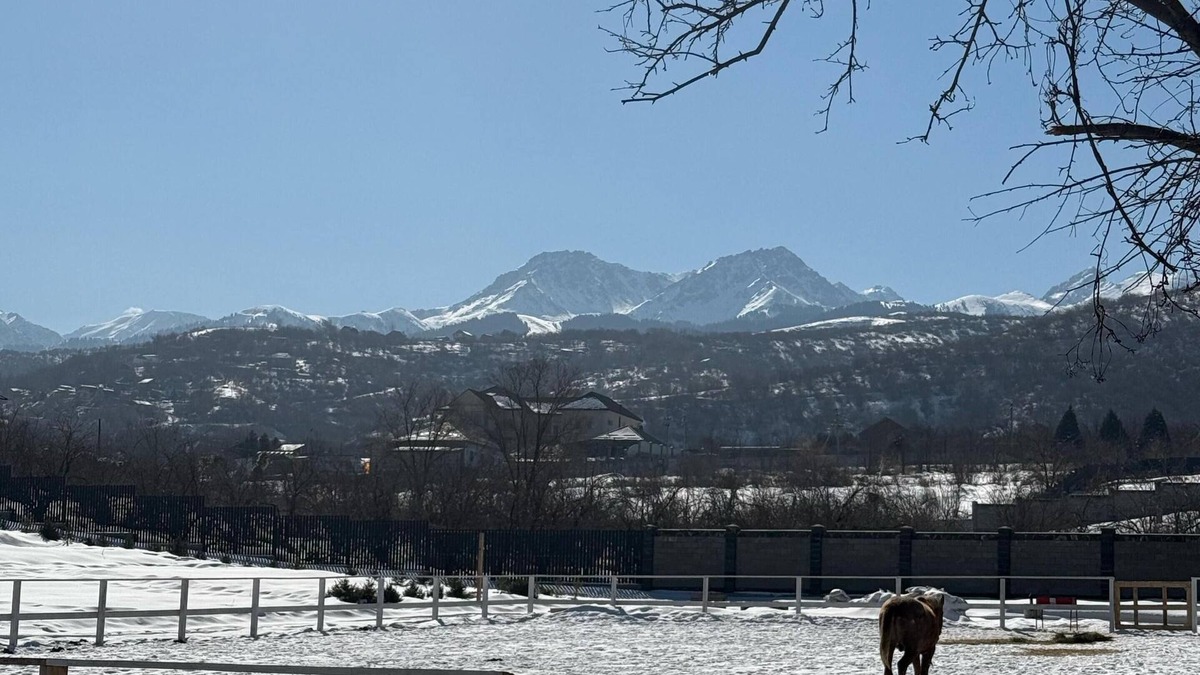 Almaty Ski Chalet | Cozy chalet in delightful Almaty with WiFi, AC with stunning city view