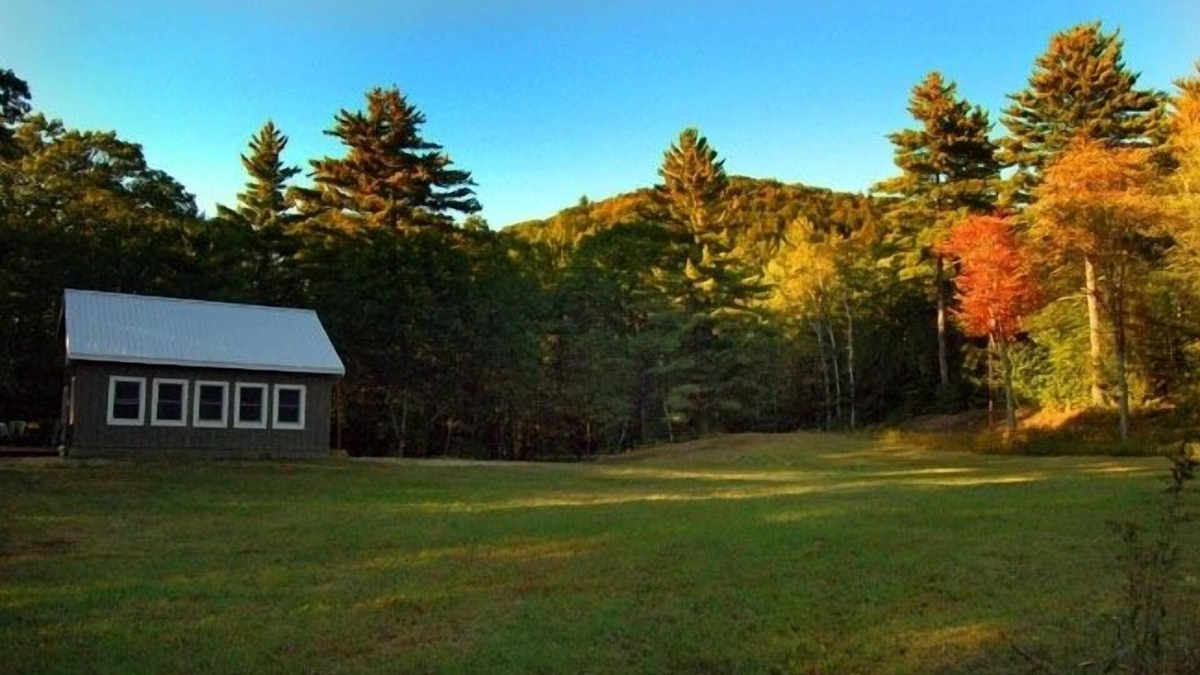 Thornton Cabin | Cozy Charming cabin with mountain view, river, and high-speed Wifi. Pets allowed
