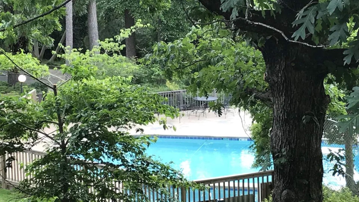 Lake Hamilton Condo | Cozy condo nestled among the trees! Mountain View’s. Pool, hot tub,lake complex