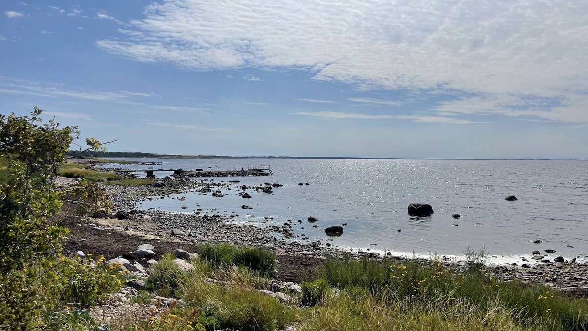 Bastad Condo | Cozy condo perfect outdoor activities as golf, beach walks, biking and culture.
