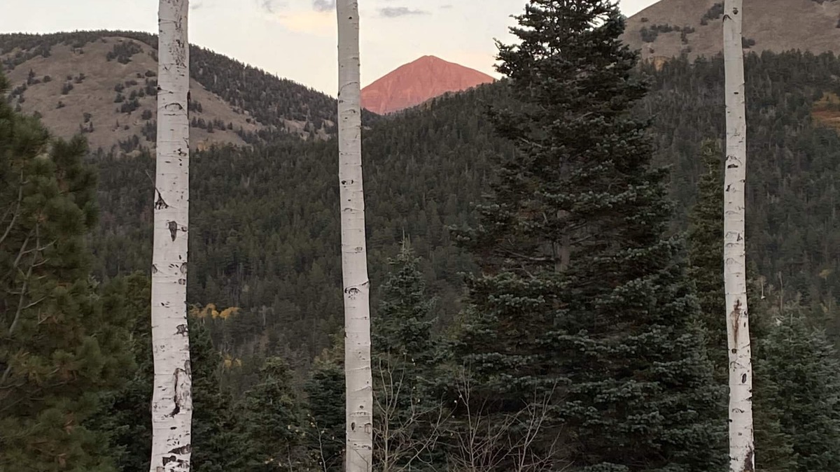 Cuchara Condo | Cozy condo with great views of West Spanish Peak and Cuchara Mountain Park!