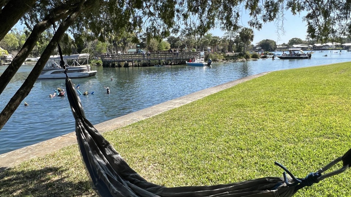 Springs at Kings Bay Condo | Cozy Condo with Private Boat Dock