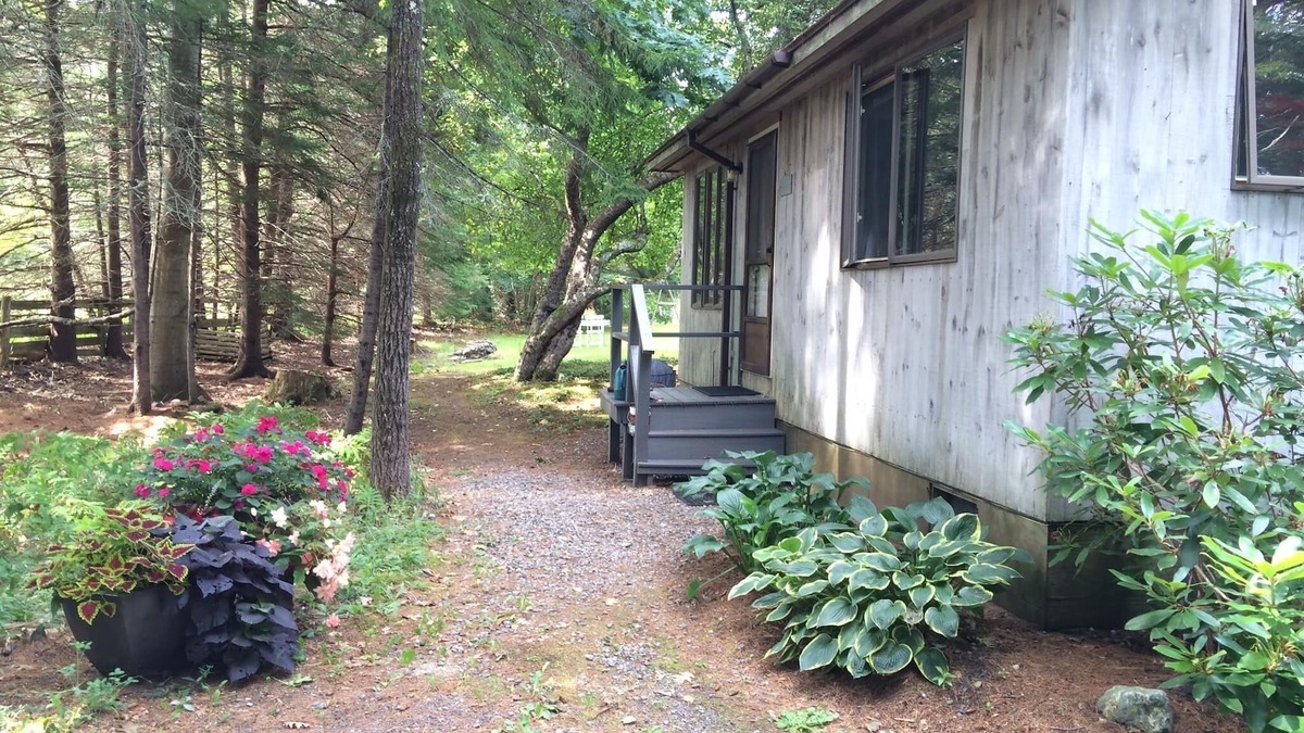 Southwest Harbor Cottage | Cozy cottage in woods, 5-min walk to ocean & town