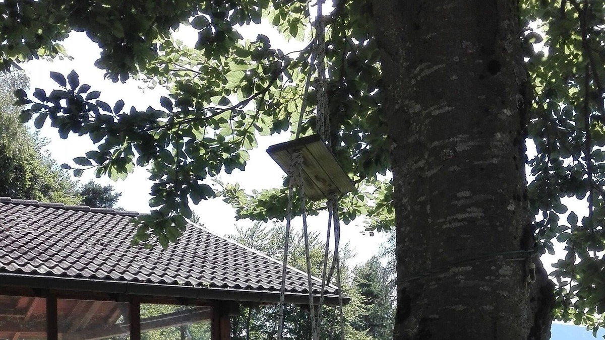 Lasino Apartment | Cozy cottage nestled in the quiet of nature