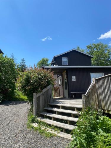 Carbondale House | Cozy Cottage - Sunrise and Lake Views - Shared Dock - Community Beach