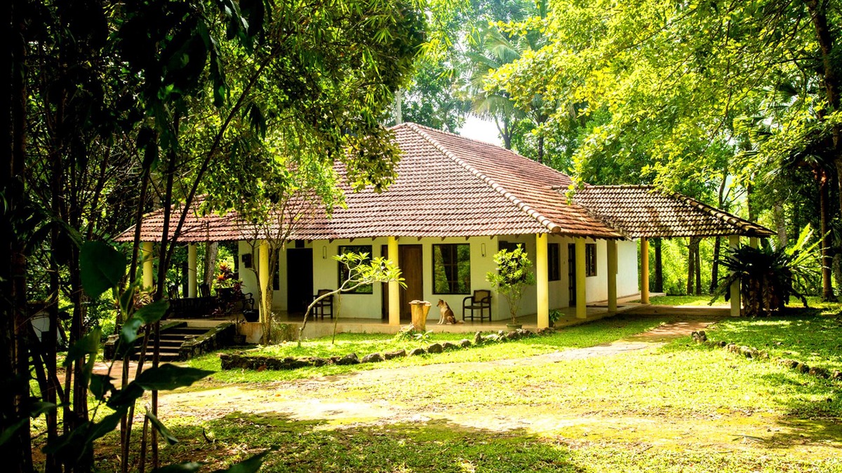 Hiyarapitiya Cottage | Cozy Country Cottage on Hills (Near Kandy)