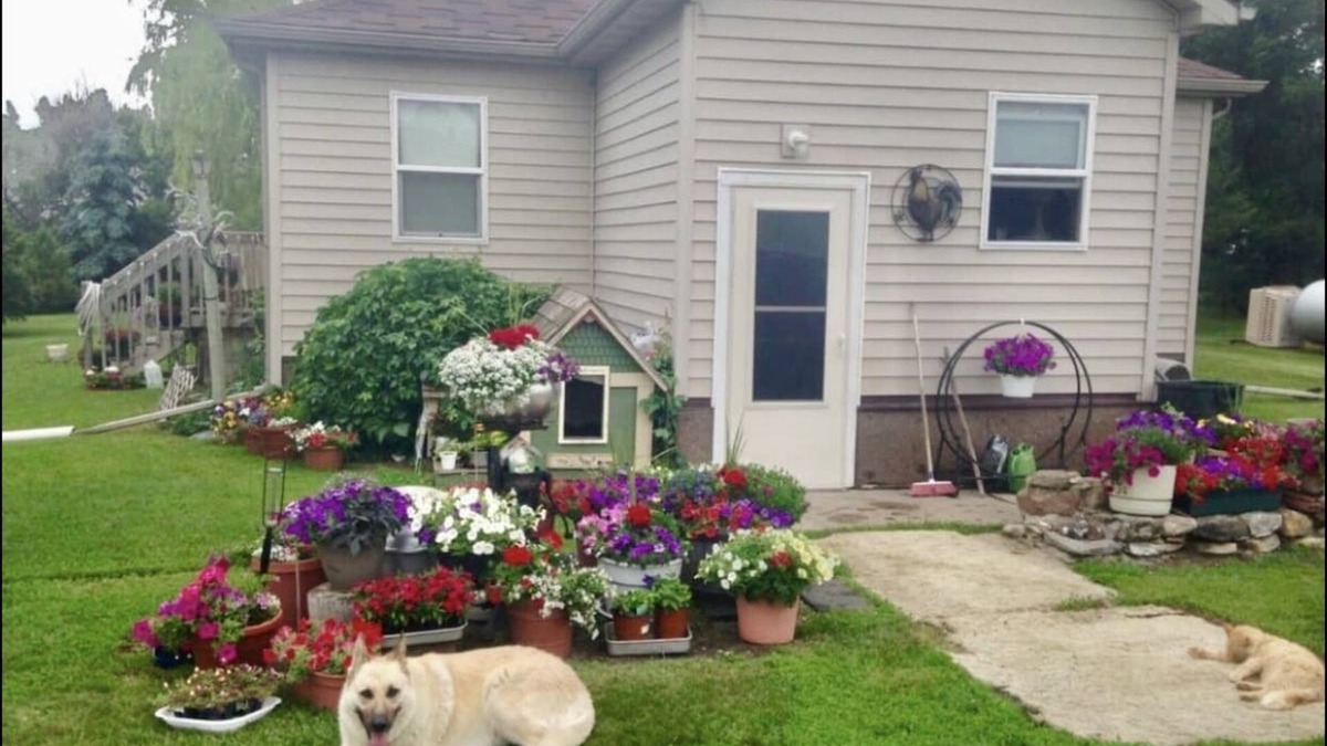 Pierce County House | Cozy Country Home with 5 Acres