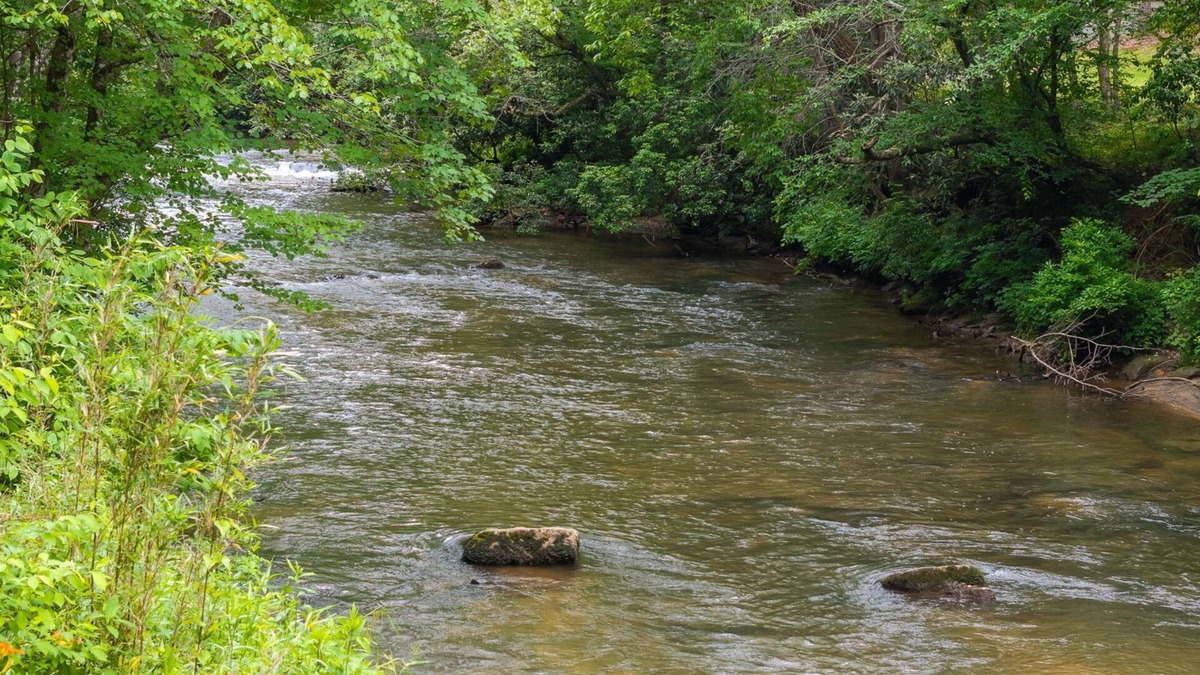 Epworth Cabin | Cozy creek side getaway minutes from Downtown Blue Ridge!