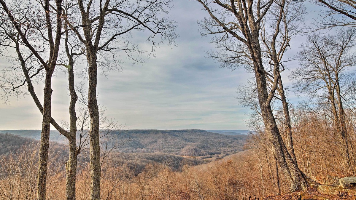 Beersheba Springs Cabin | Cozy Cumberland Mountain Cabin w/Stunning Views!