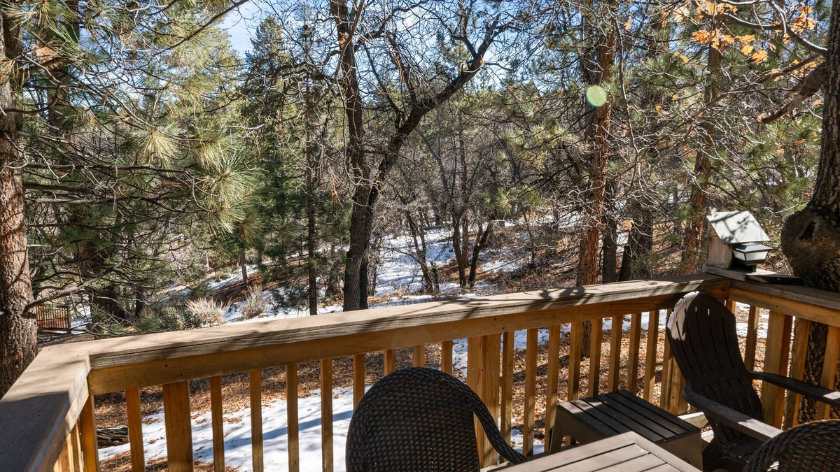 Upper Moonridge Cabin | Cozy & CUTE dog-friendly mountain cabin! Bear Mountain! FOOSBALL! EV CHARGER!