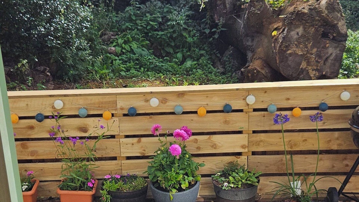 Northampton Cabin | Cozy Dog Friendly Shepherd's Hut in Northampton