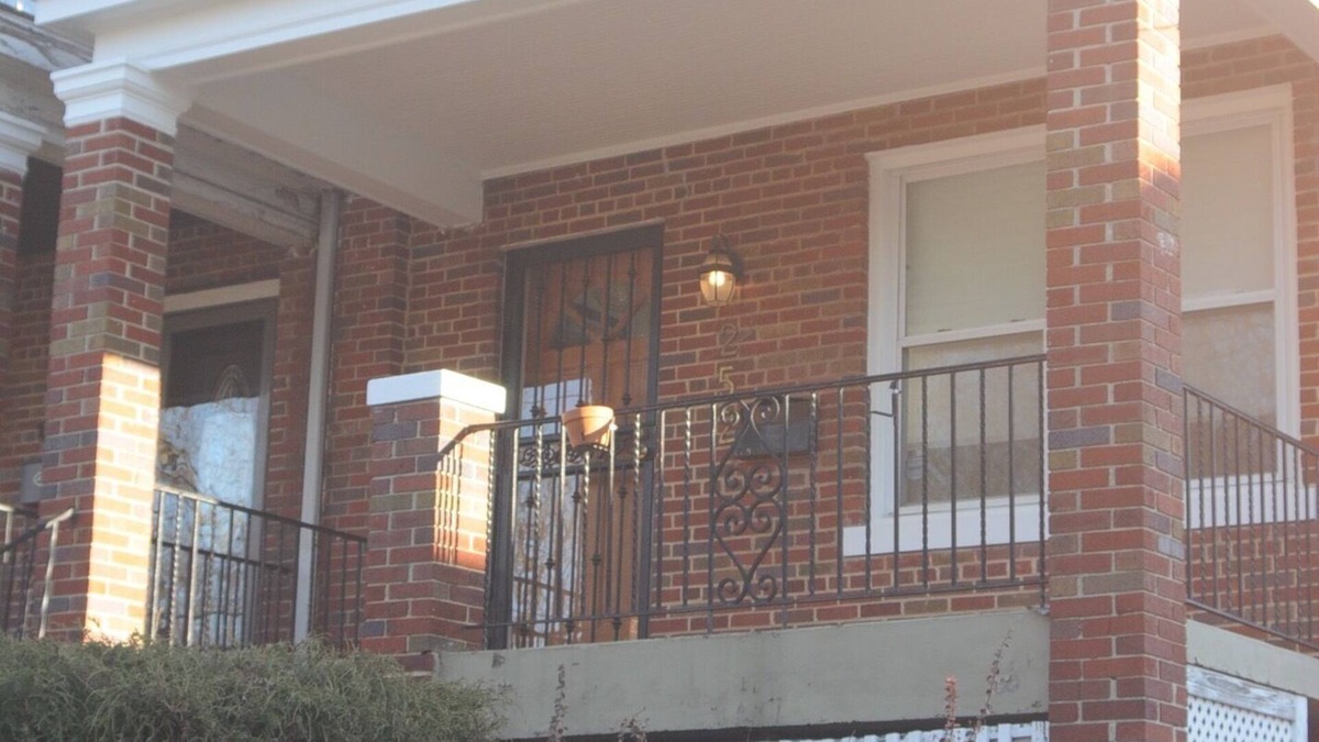 Brightwood Park Apartment | Cozy English Basement Guesthouse