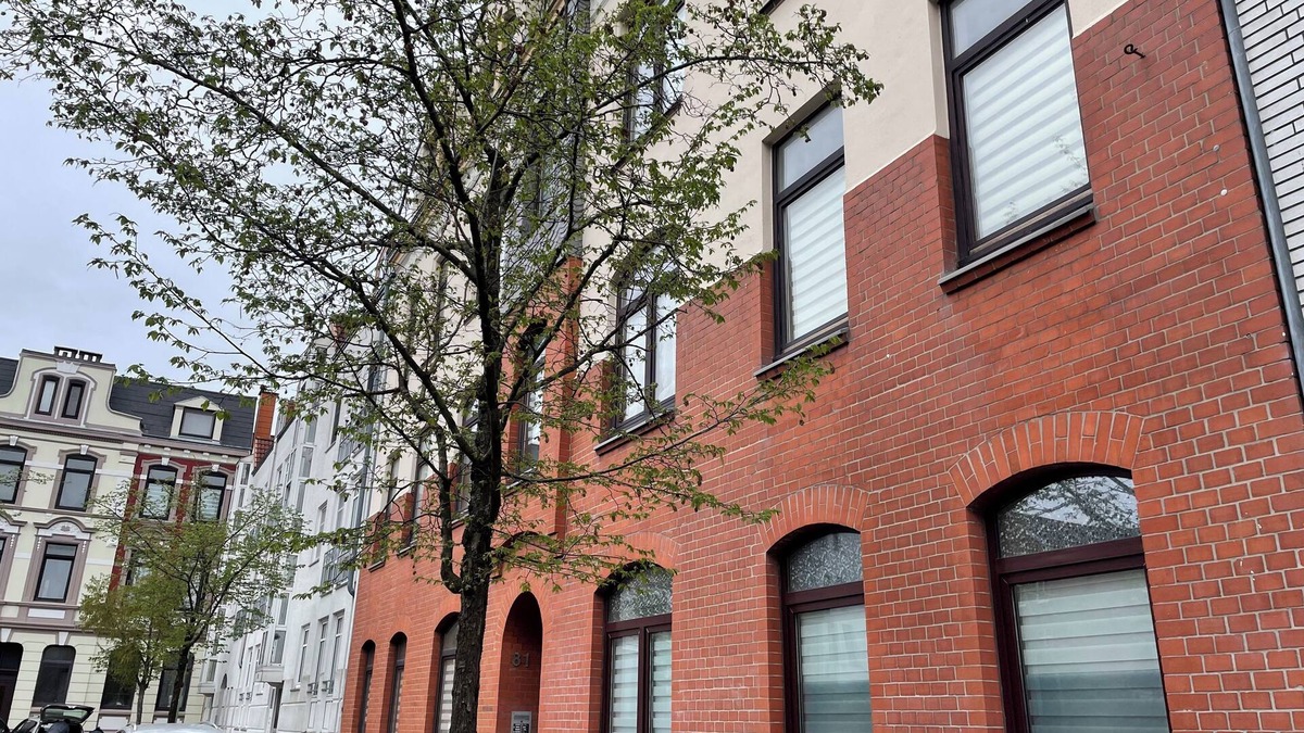 Klushof Apartment | Cozy family oasis for 4 people - Perfect for a short break - Central