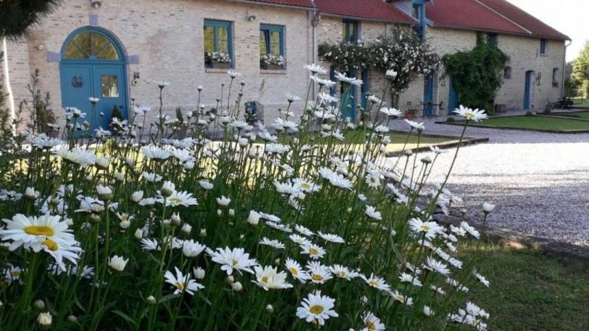 Quaedypre Cottage | Cozy Farmhouse in Quaëdypre: Sleeps 12, Private Garden, Near Dunkirk Beaches, WiFi & Baby Gear