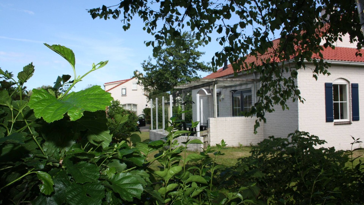 De Cocksdorp House | Cozy FH for 6 people, quiet location, swimming pool, pets on request