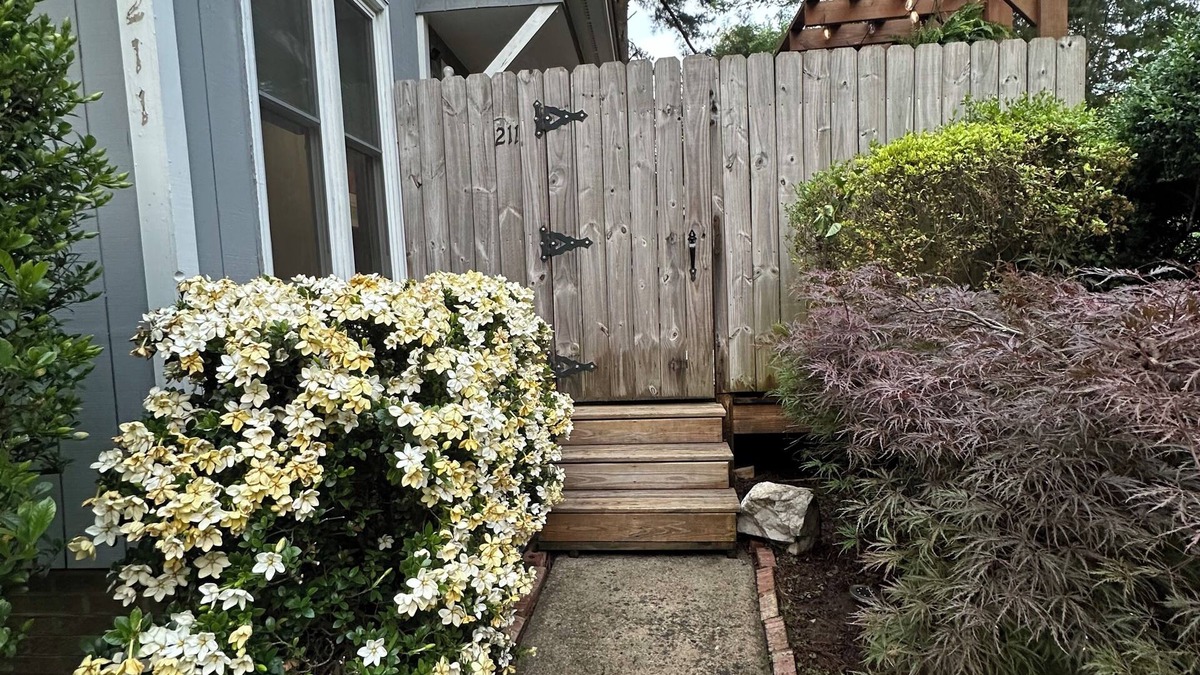 Cary Condo | Cozy greenway condo!