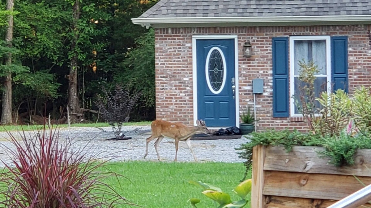 Madison House | Cozy guesthouse minutes from multiple amenities