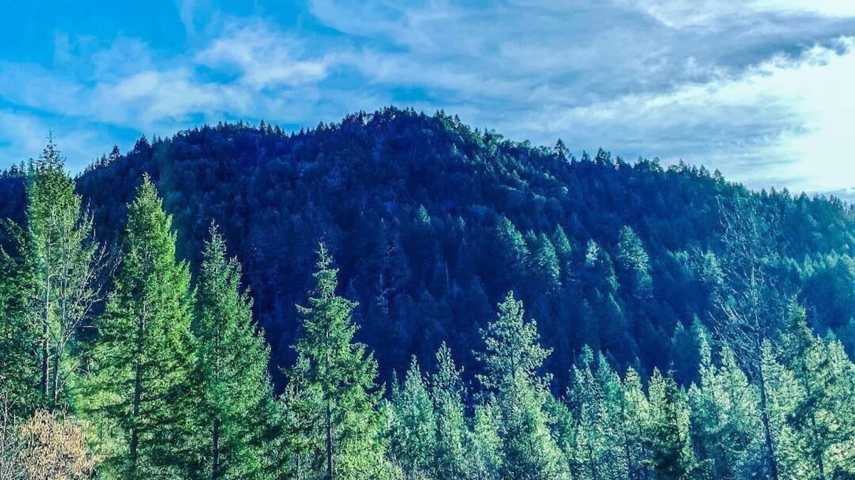 Wolf Creek Apartment | Cozy Historic Cabin Near Hiking