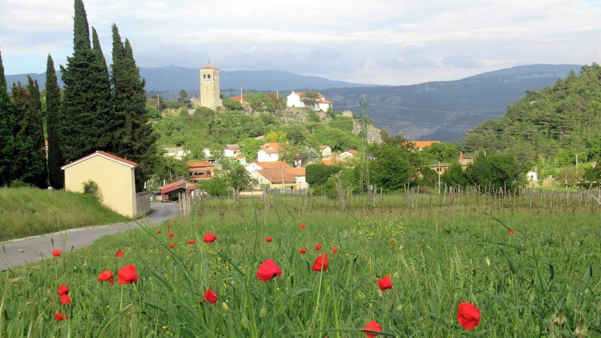 Kubed Apartment | Cozy Holiday Apartment in the Countryside 15 Minutes From the sea in Koper