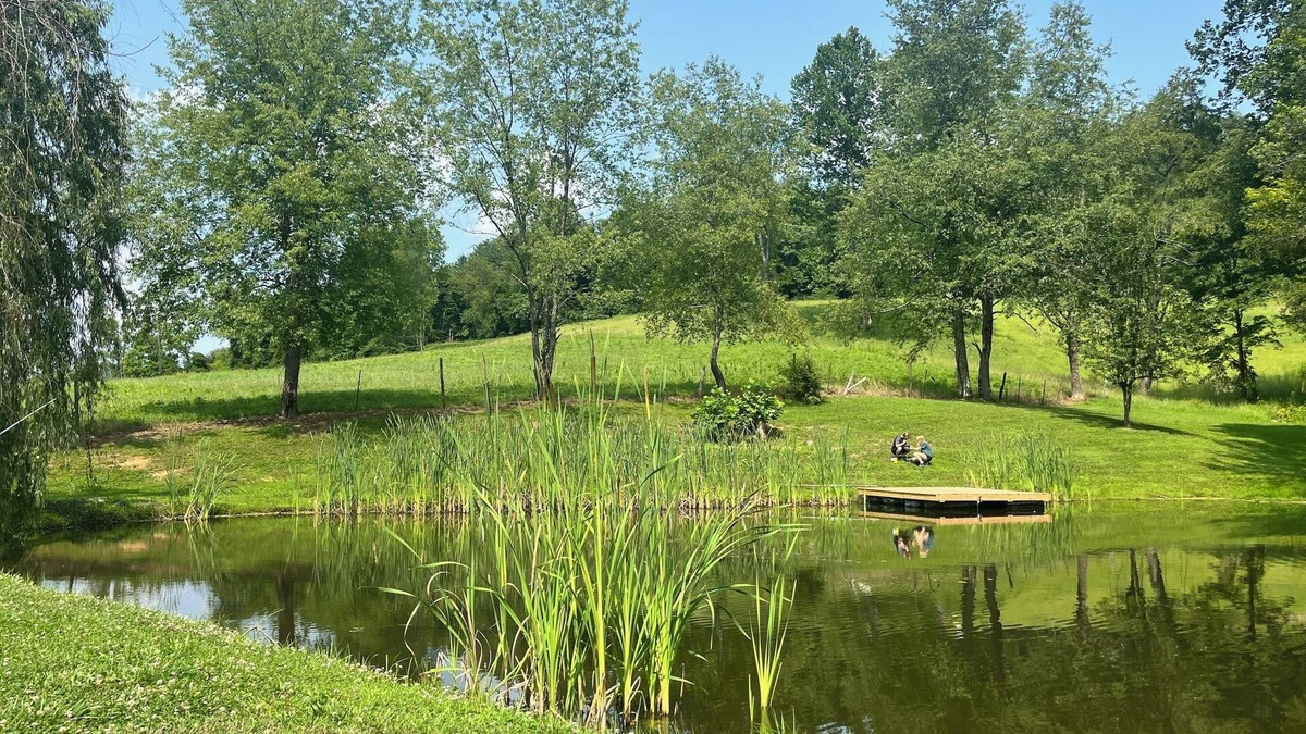 Bridgeport House | Cozy home in a peaceful country setting with stocked pond. Relax and unwind.