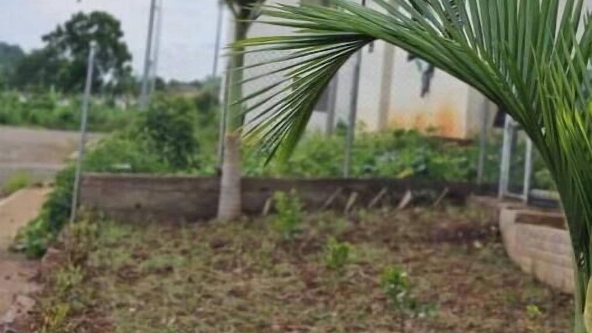 Bafoussam House | Cozy home near city and staduim