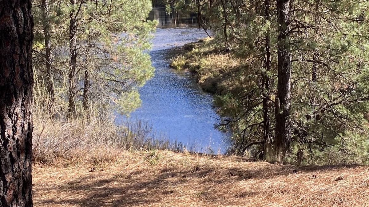 Garden Valley Cabin | Cozy home with HOT TUB, River View & Fire Pit!