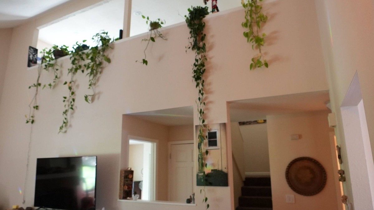 Arvada House | Cozy House + Adventure Pad to Downtown Denver or the Rockies