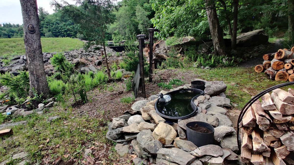 Dingmans Ferry House | Cozy house by the lake