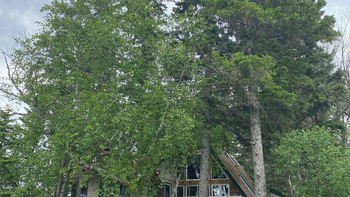 Christopher Lake House | Cozy lake-front A-frame cabin at Emma Lake. Steps away from the beach!