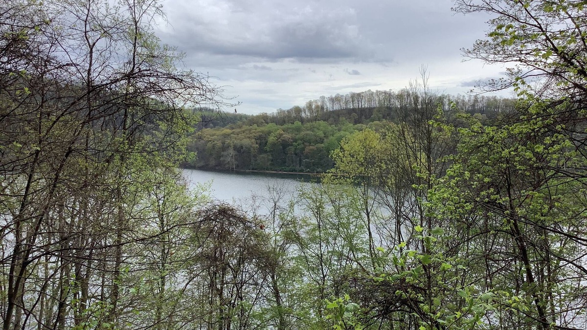 Markleysburg Cottage | Cozy Lake View Cottag , Perfect for a Romantic Getaway! Laurel Highlands of Pa.