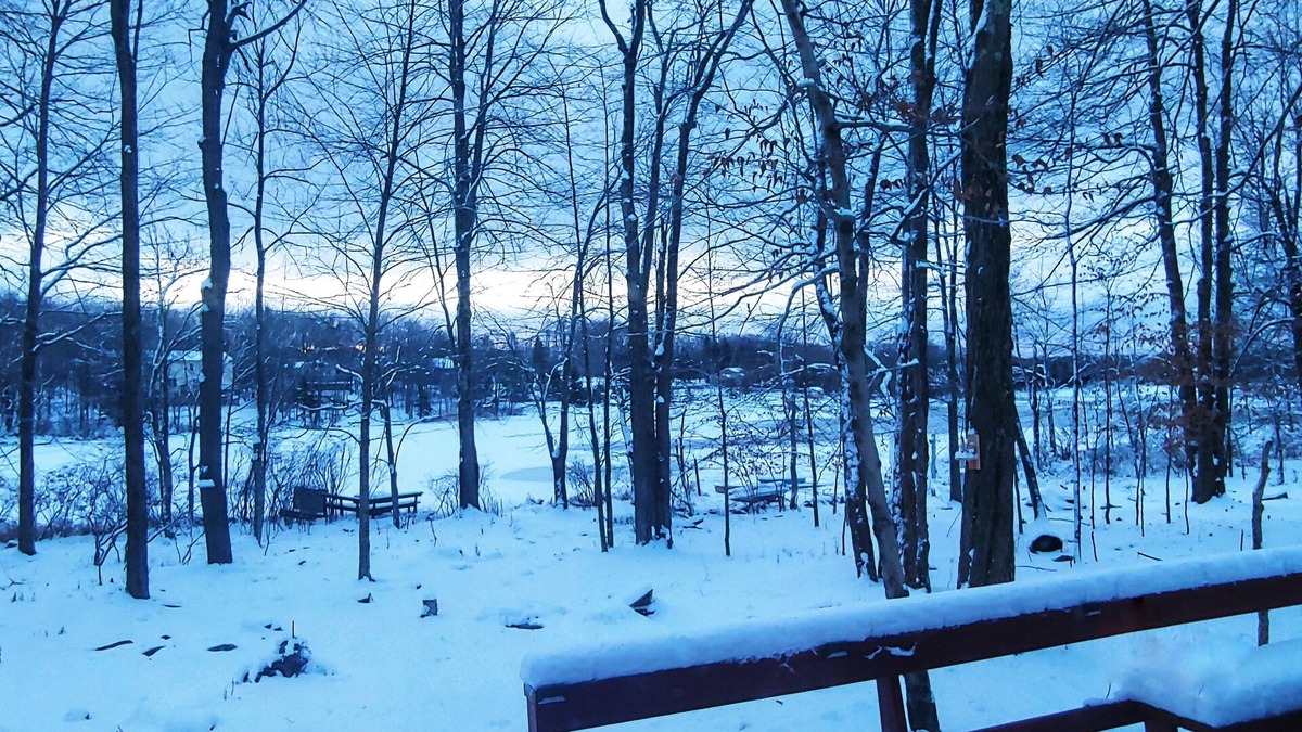 Tobyhanna House | Cozy Lakefront Chalet close to Camelback! Come enjoy the lake or the snow.