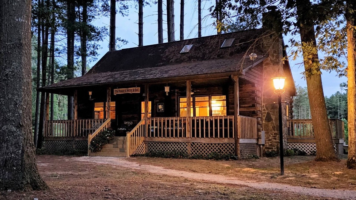 English Cabin | Cozy log cabin with modern amenities and a park view!