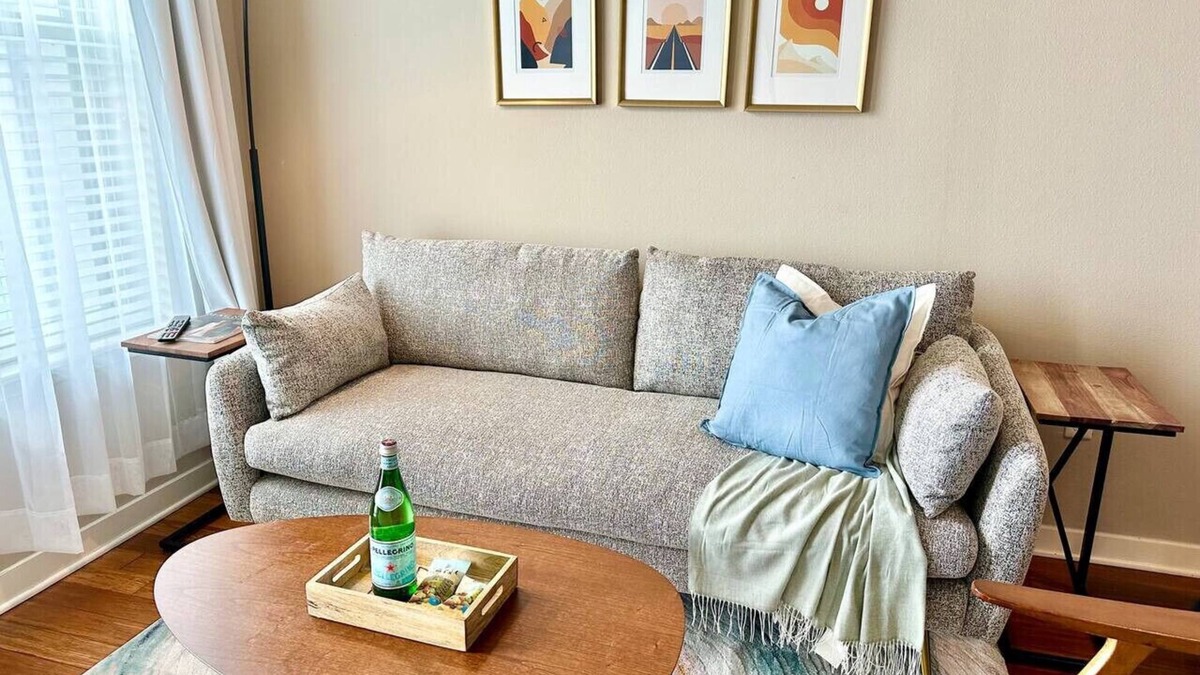 Texas Medical Center Apartment | Cozy Mid-Century Modern FREE parking | MDAnderson