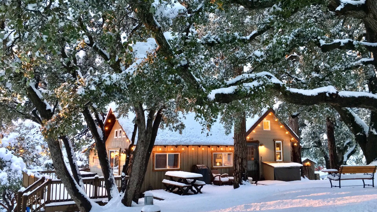 Pine Cove Cabin | "Cozy Oaks Cabin" Peaceful Mountain Getaway, Charming & Romantic! Trail Pass.