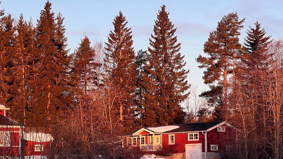 Ockelbo House | Cozy Ockelbo Retreat with Sauna & Stunning Nature Views