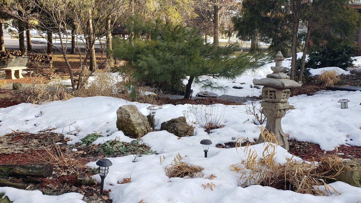 Avalon Other | Cozy older home, zen like garden. Pet friendly. Not for people with allergies.