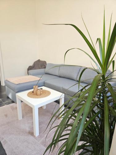 Klein-Antwerpen Apartment | Cozy One-Bedroom Apartment