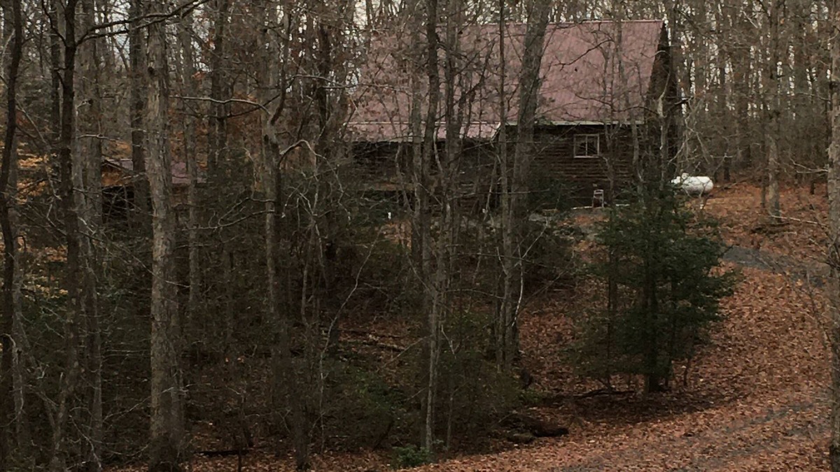 Mineral House | Cozy Quiet Cabin @ Lake Anna