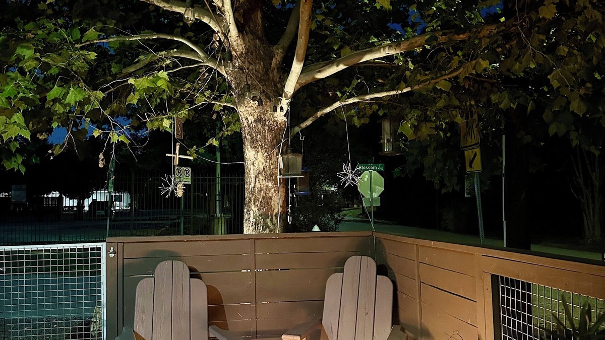 Washington Ave./ Memorial Park House | Cozy Quiet Home! PET FRIENDLY! Fall 2025 Special!