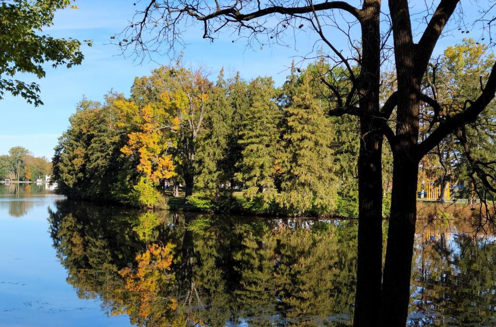 Paw Paw House | Cozy Quonset Hut On Maple Lake