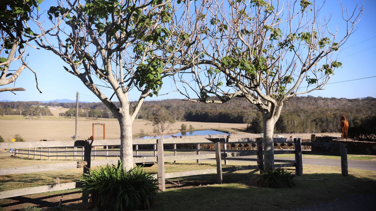 Meringo Other | cozy retreat located on the south coast of NSW, nfarm and ocean views,
