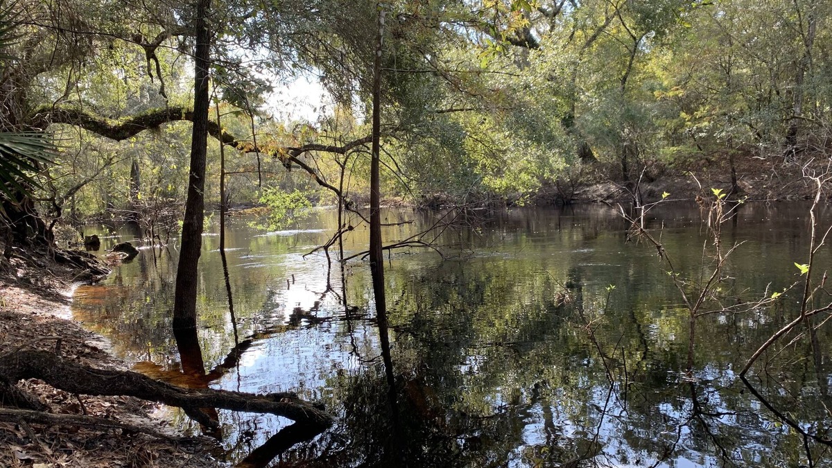 Webster House | Cozy river front retreat on beautiful Withlacoochee River. Near theme parks.
