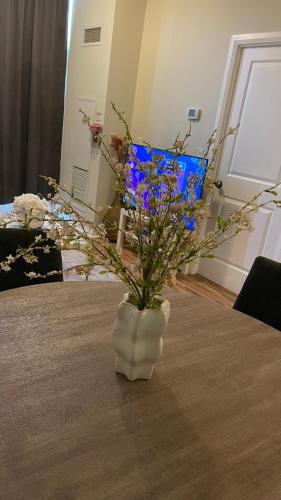 Hurontario House | Cozy Room in a Townhouse Mississauga, Ontario canada