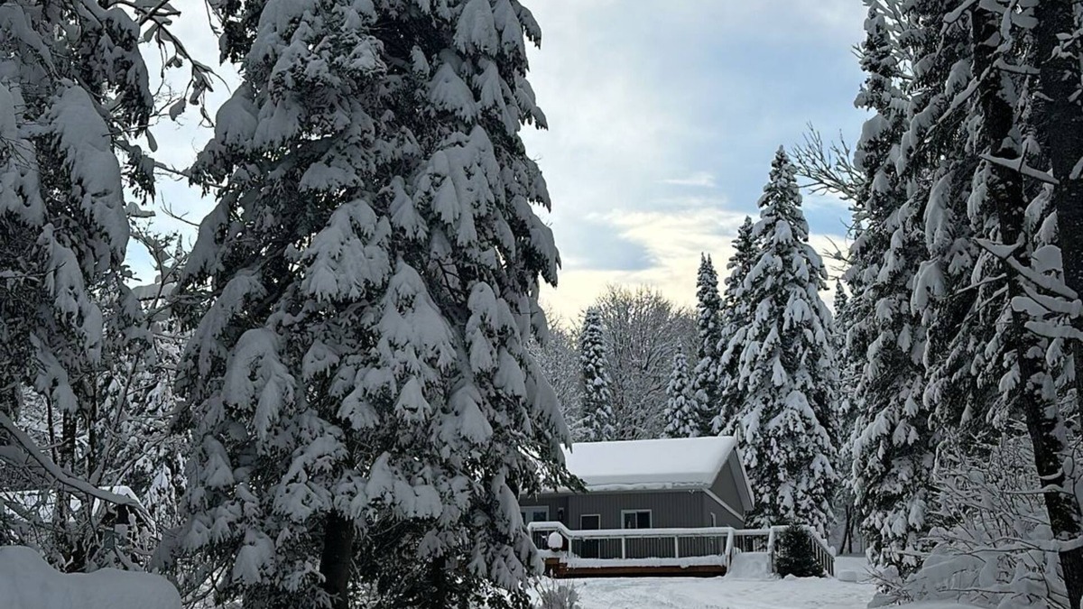 Utterson Cottage | Cozy Rosseau Cottage
